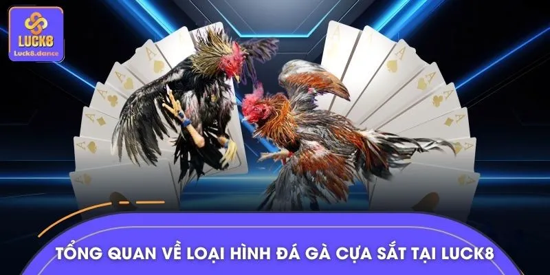 Giới thiệu đá gà cựa sắt