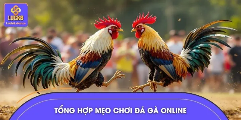 Trọn bộ mẹo chơi bất bại cho bet thủ