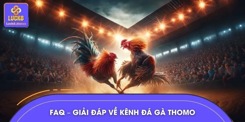 Giải đáp tất tần tật thắc mắc về đá gà Thomo